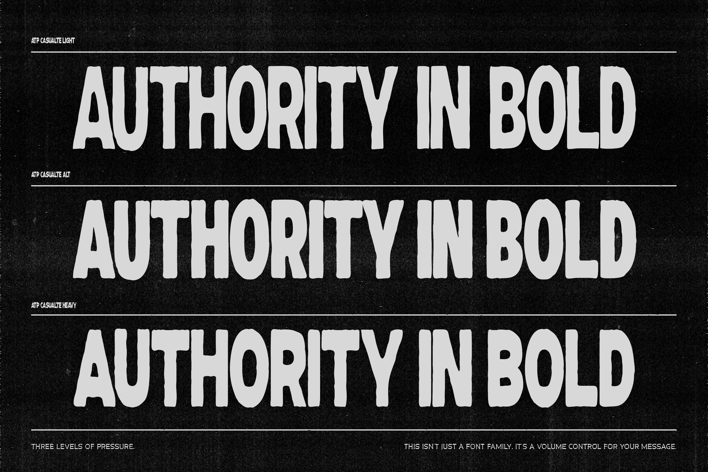 Three stacked lines of Authority In Bold text showing light, regular, heavy weights with varying stroke pressure