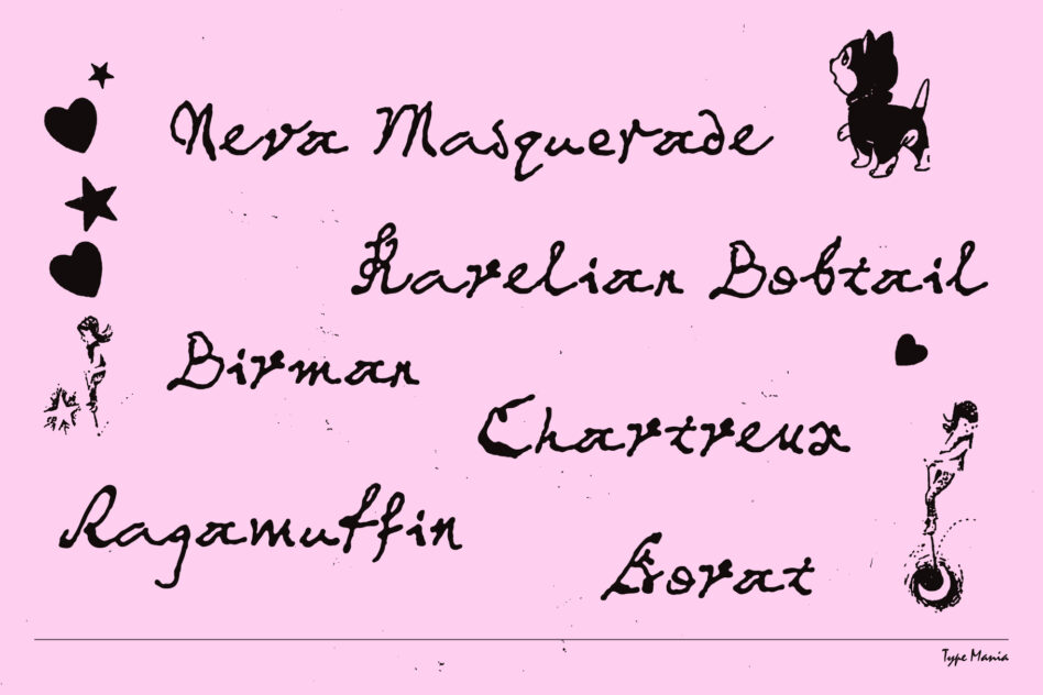 Pink background with various whimsical creature doodles scattered among handwritten words