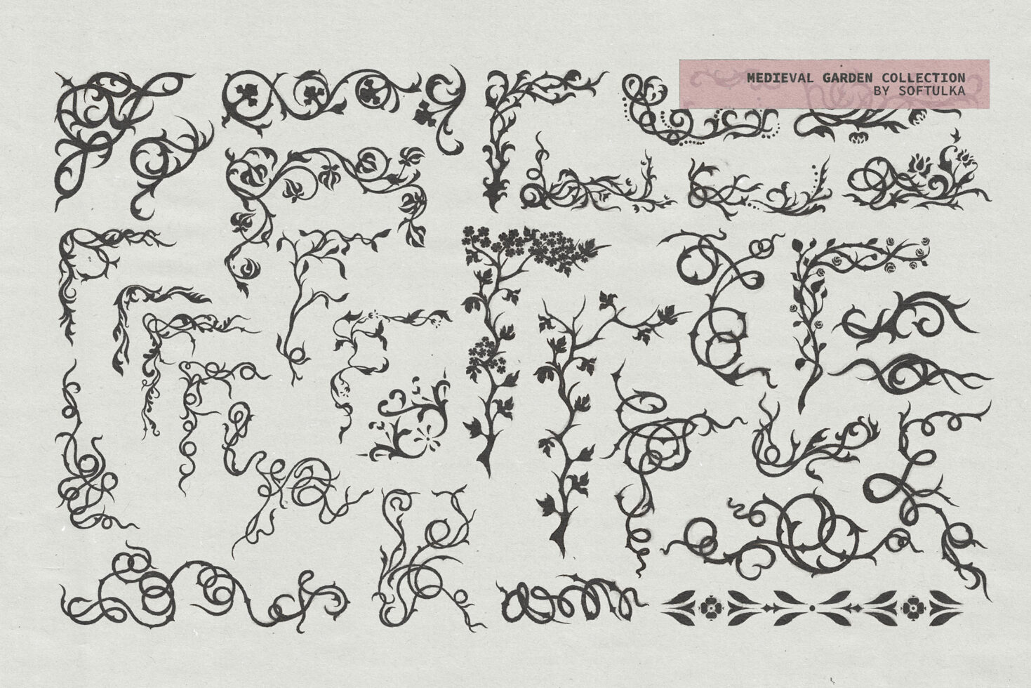Corner flourishes, vine borders, climbing tendrils, small flowers, decorative dividers on off-white