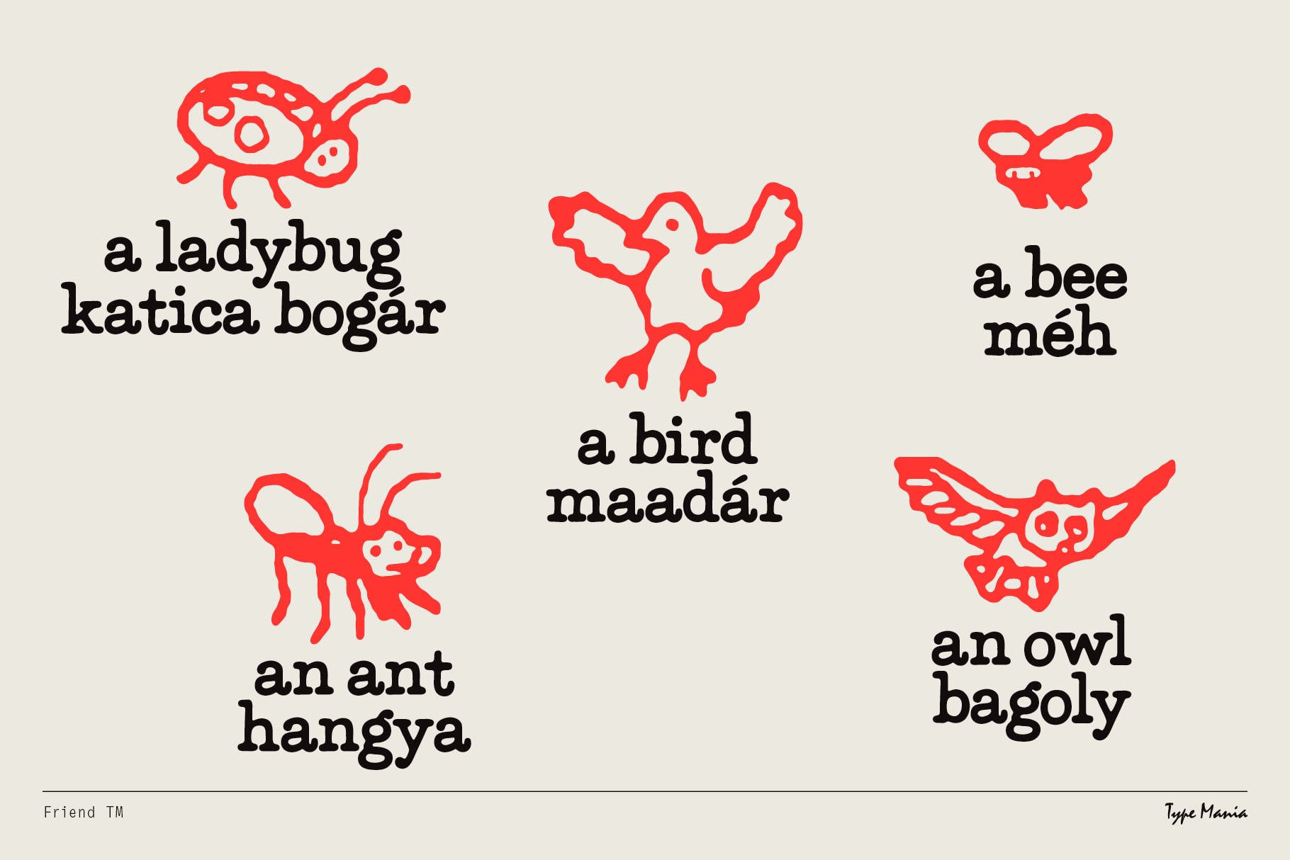 Five red line-drawn creatures with bilingual labels ladybug bee bird ant owl