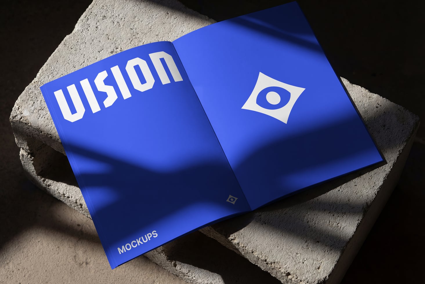 Two blue magazine covers with VISION text positioned on concrete surface