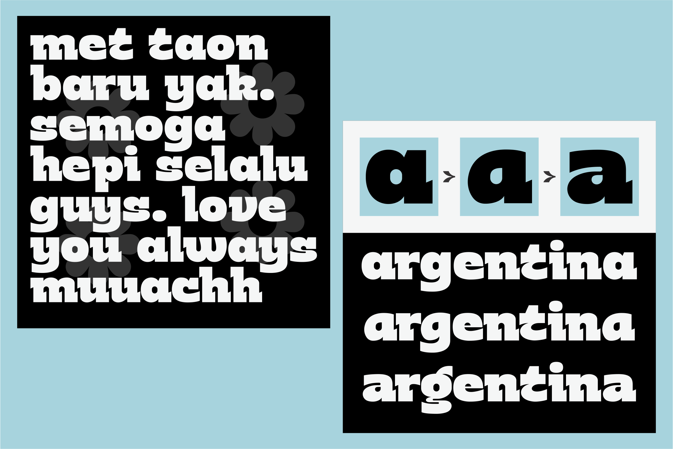 Bold display font with black background showing letter 'a' variations on polaroid mockup