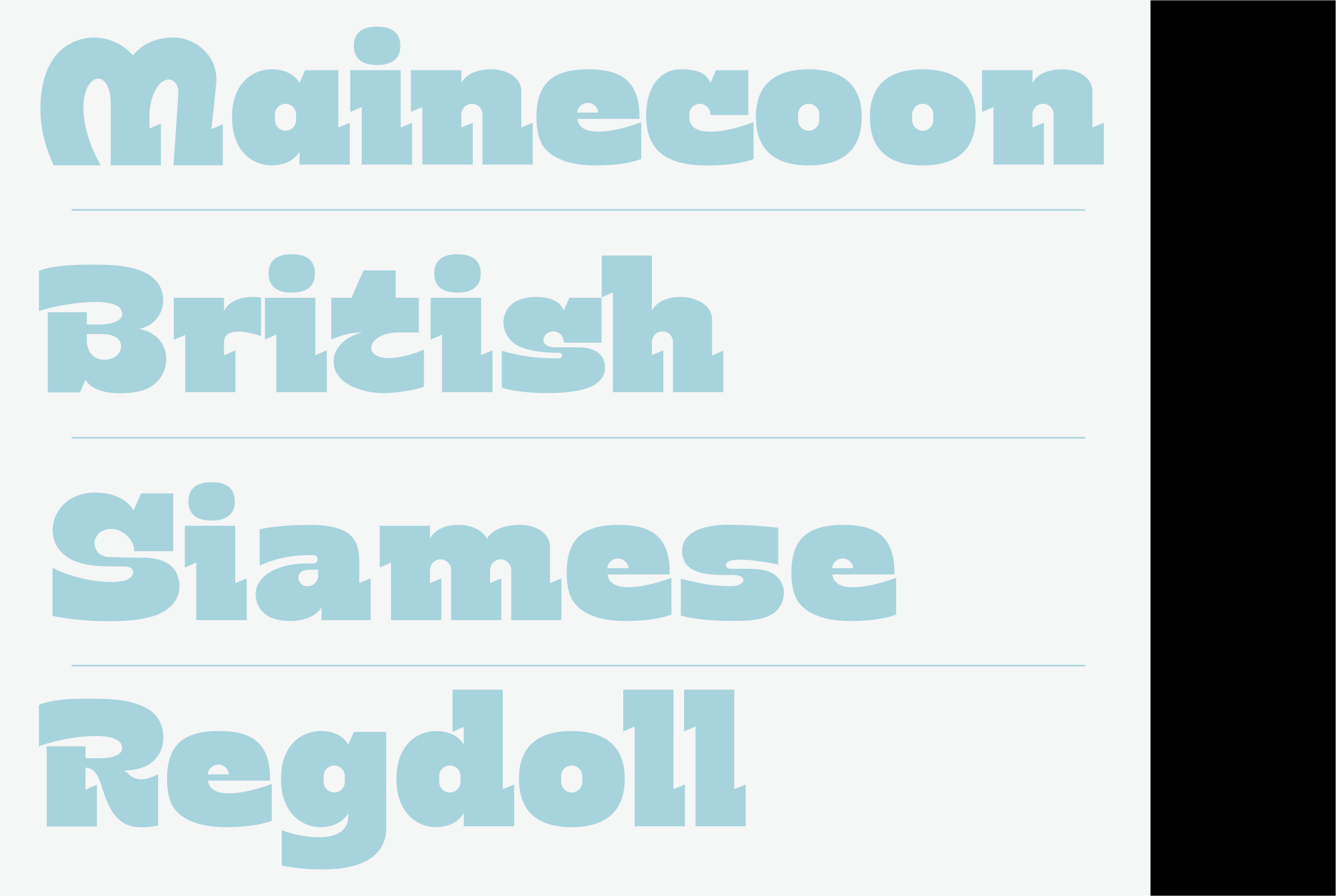 Light blue rounded sans serif font sample showing Mainecoon, British, Siamese, Ragdoll