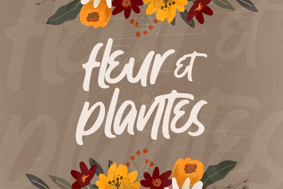 Tan textured background with red orange flowers, white script reads heart plantings