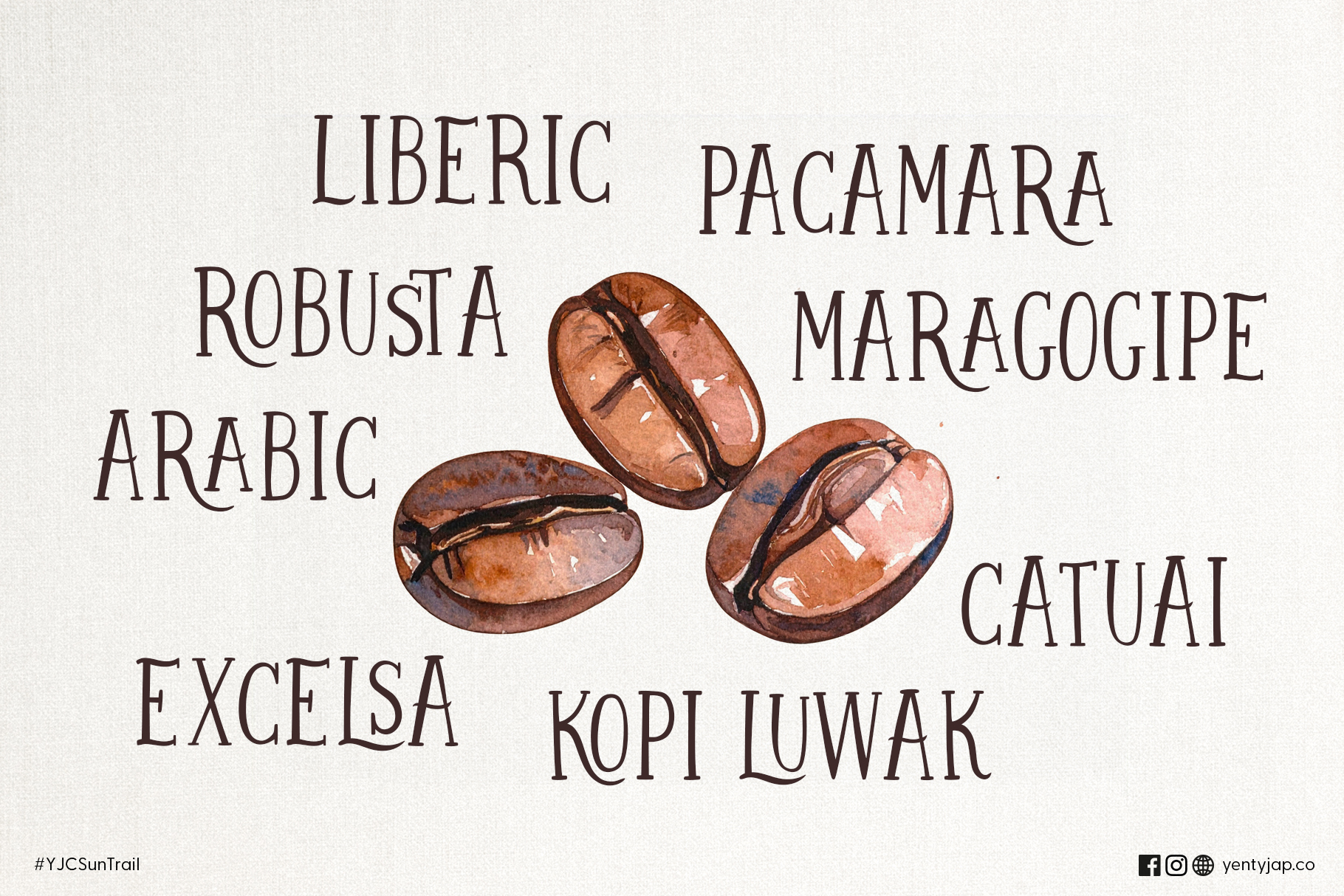 Three watercolor coffee beans with multiple coffee variety names arranged around them