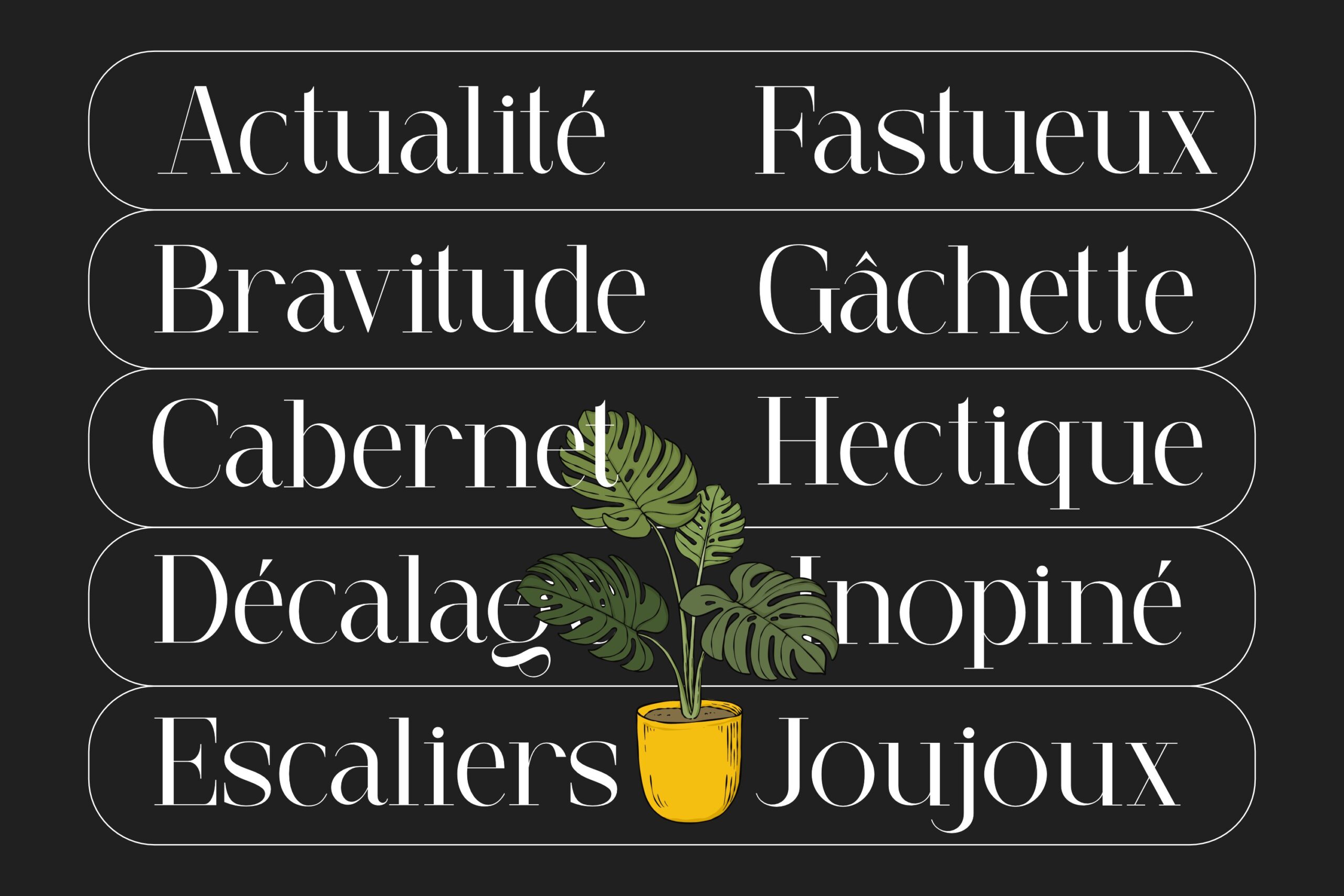 French words in rounded boxes with monstera plant in yellow pot on dark background
