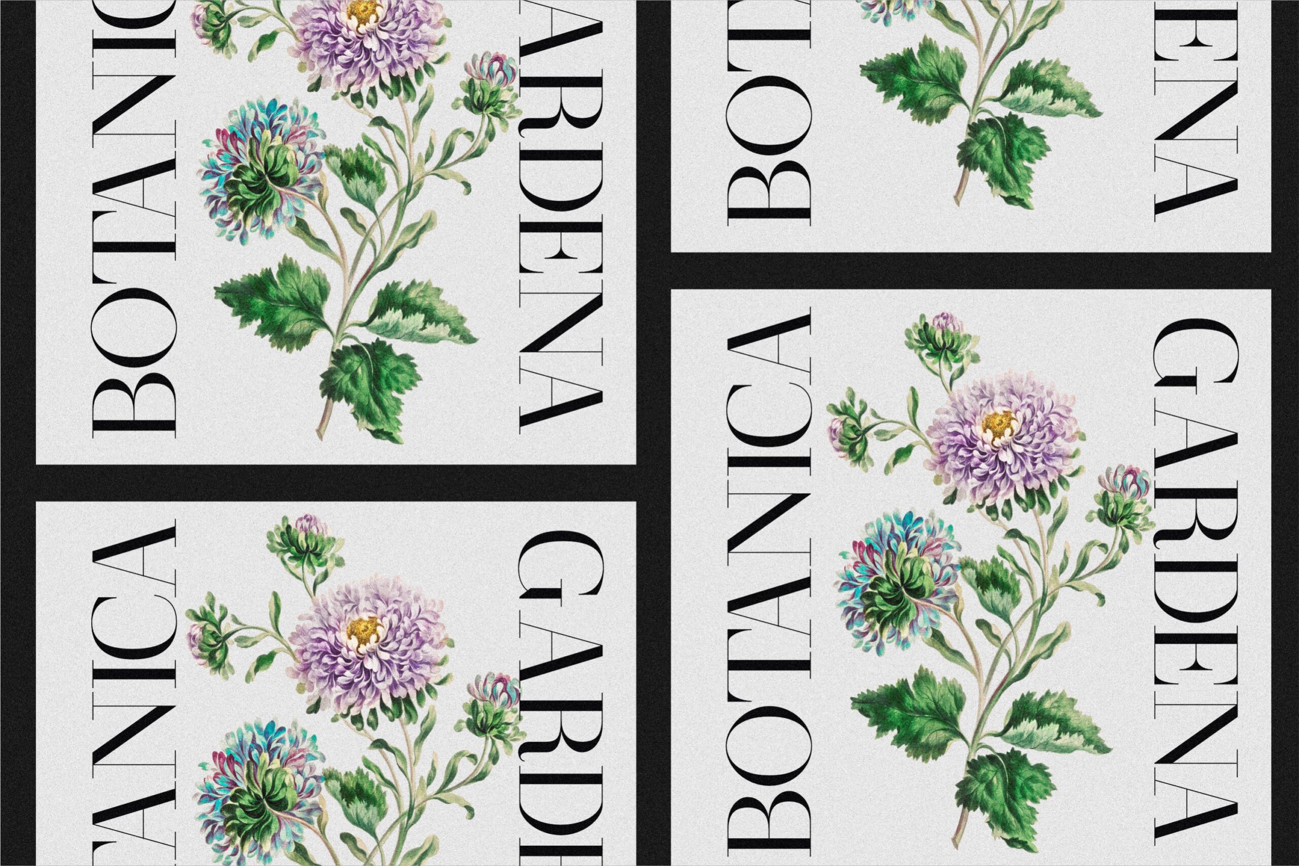 Four botanical book cover designs featuring painted florals, serif typography