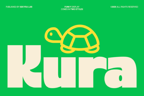 Funky display font specimen with yellow turtle illustration above large cream letters on green