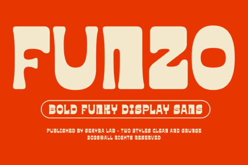 Fun 20 bold funky display sans serif font for headers, two styles clean grunge