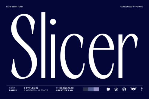 Slicer font family showing word in white letters, 2 styles 9 weights 18 fonts total by Roomspace Creative Lab