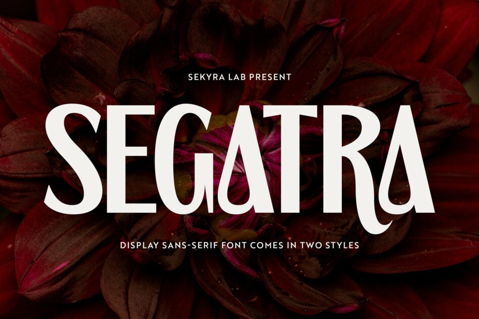 Segatra sans serif display font over dark flower petals background