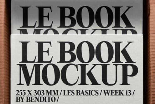 Cream book mockup with large black serif typography on terracotta box