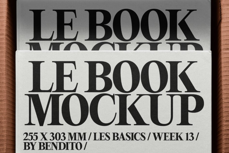 Cream book mockup with large black serif typography on terracotta box