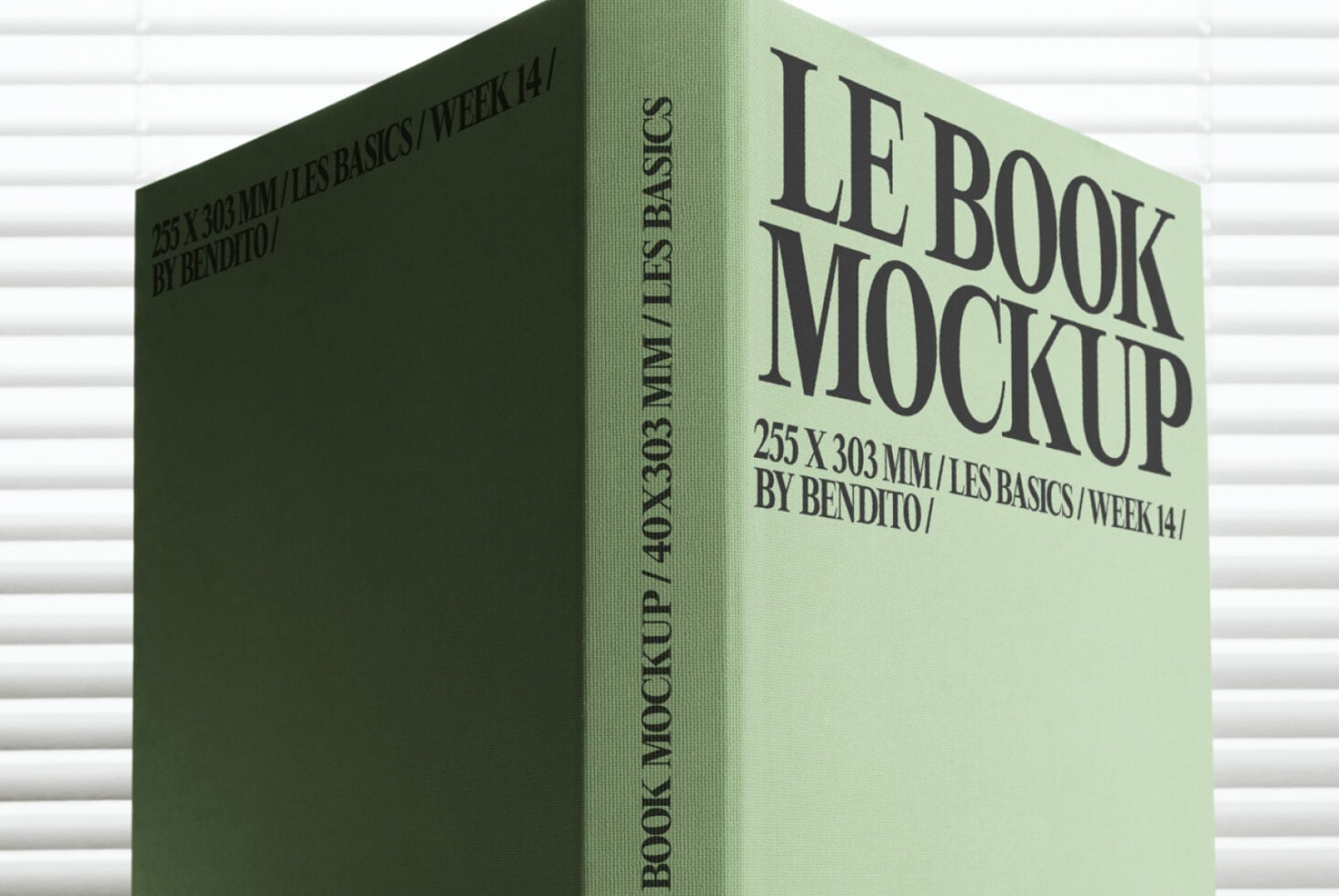 Mint green book mockup with bold serif type on light textured surface