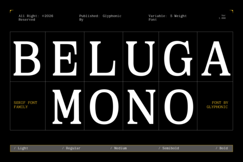 Beluga Mono serif font name with five weight options shown in grid layout