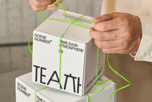 Hands holding stacked white boxes tied with neon green string, Scene Number branding visible