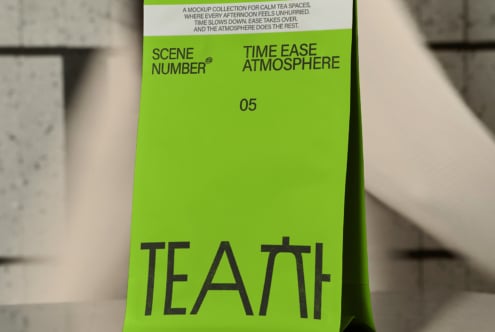 Bright lime green paper sleeve standing with dark TEAM text, descriptive header text visible