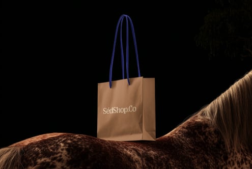 Tan shopping bag with blue rope handles sitting on furry ground mockup