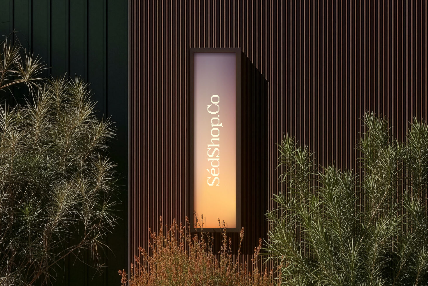 Narrow lit display with soft gradient, native plants, corrugated metal background, modern aesthetic