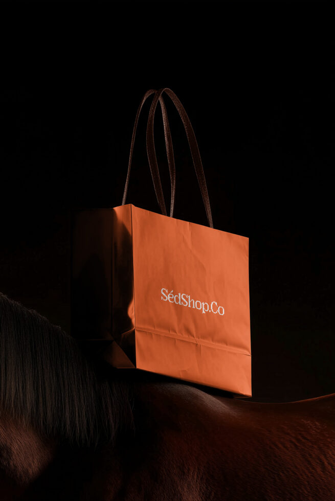 Burnt orange carry bag with leather straps against dark backdrop