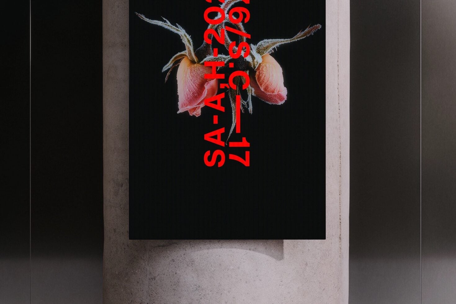 Red text overlay on dried flower poster against concrete wall