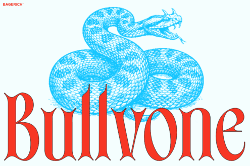 Bagerich logo with blue textured dragon wrapping around red serif lettering