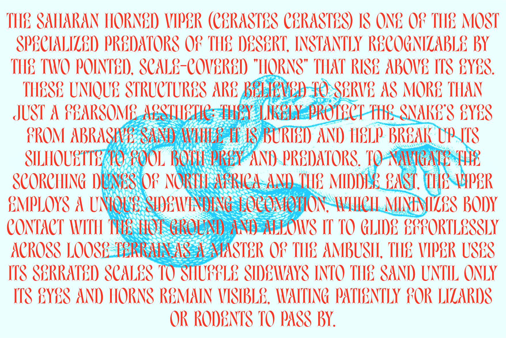 Red text block about Saharan horned viper with blue snake illustration overlay