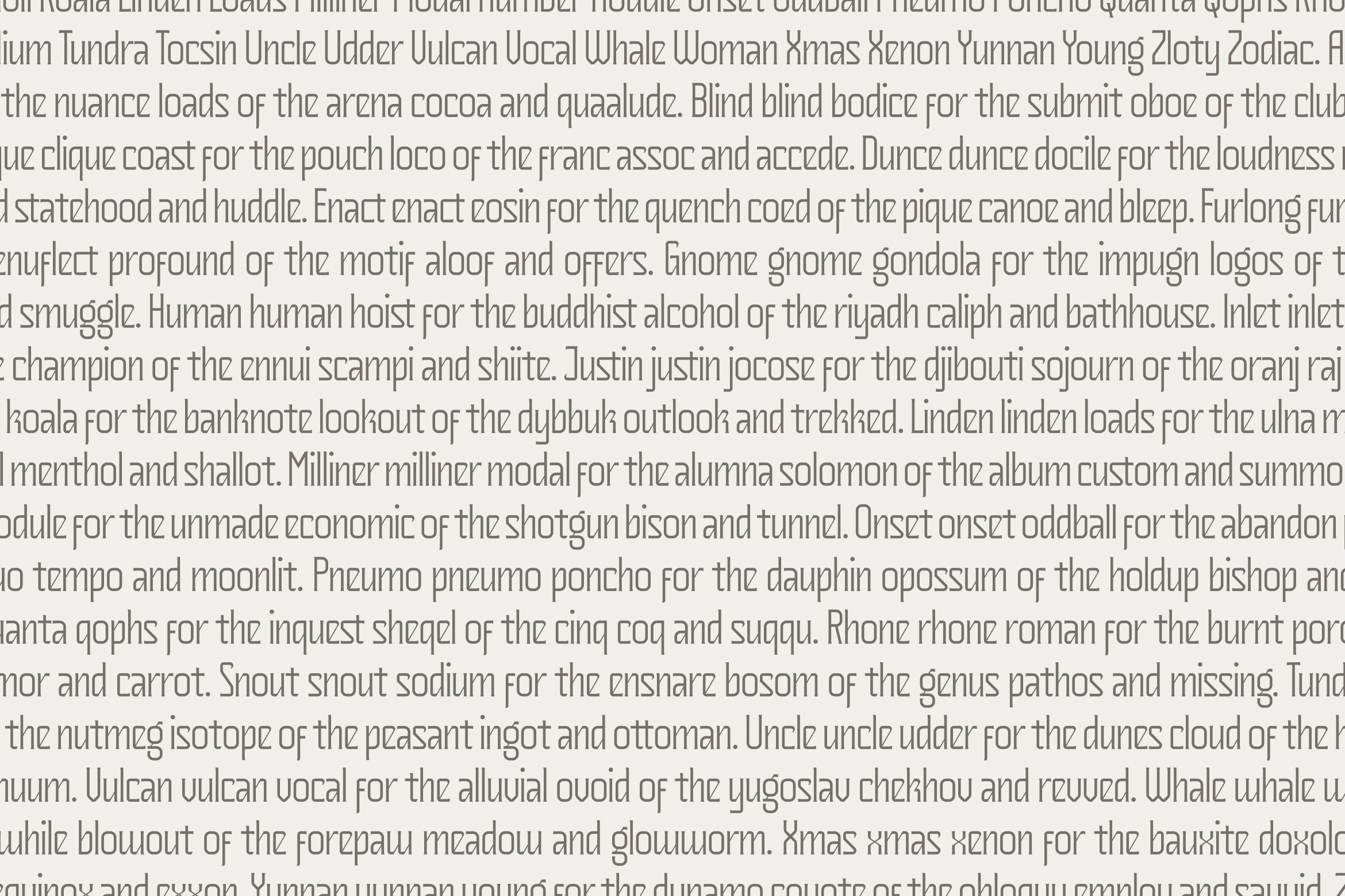 Lorem ipsum dummy text in light sans serif font filling full page