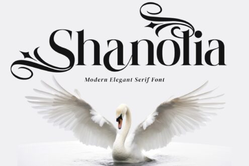 Shanolia serif font display with elegant swashes, white swan image underneath