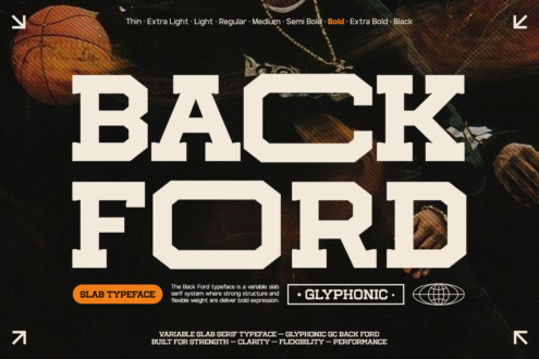 Back Ford variable slab typeface showing multiple weight options