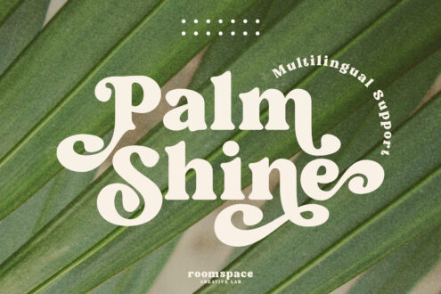 Palm Shine serif font displayed on aerial drone shot of green farm fields