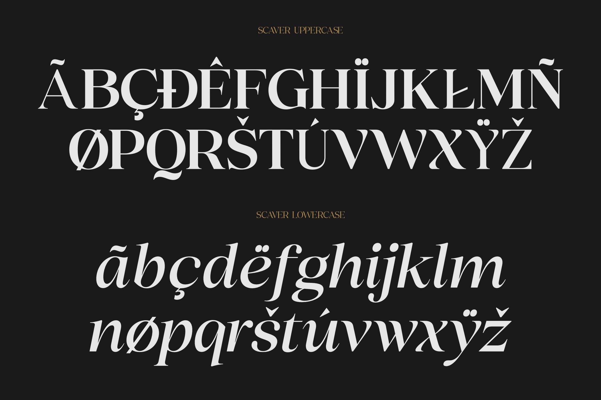 Serif typeface specimen showing scavenger uppercase italic lowercase characters on dark background