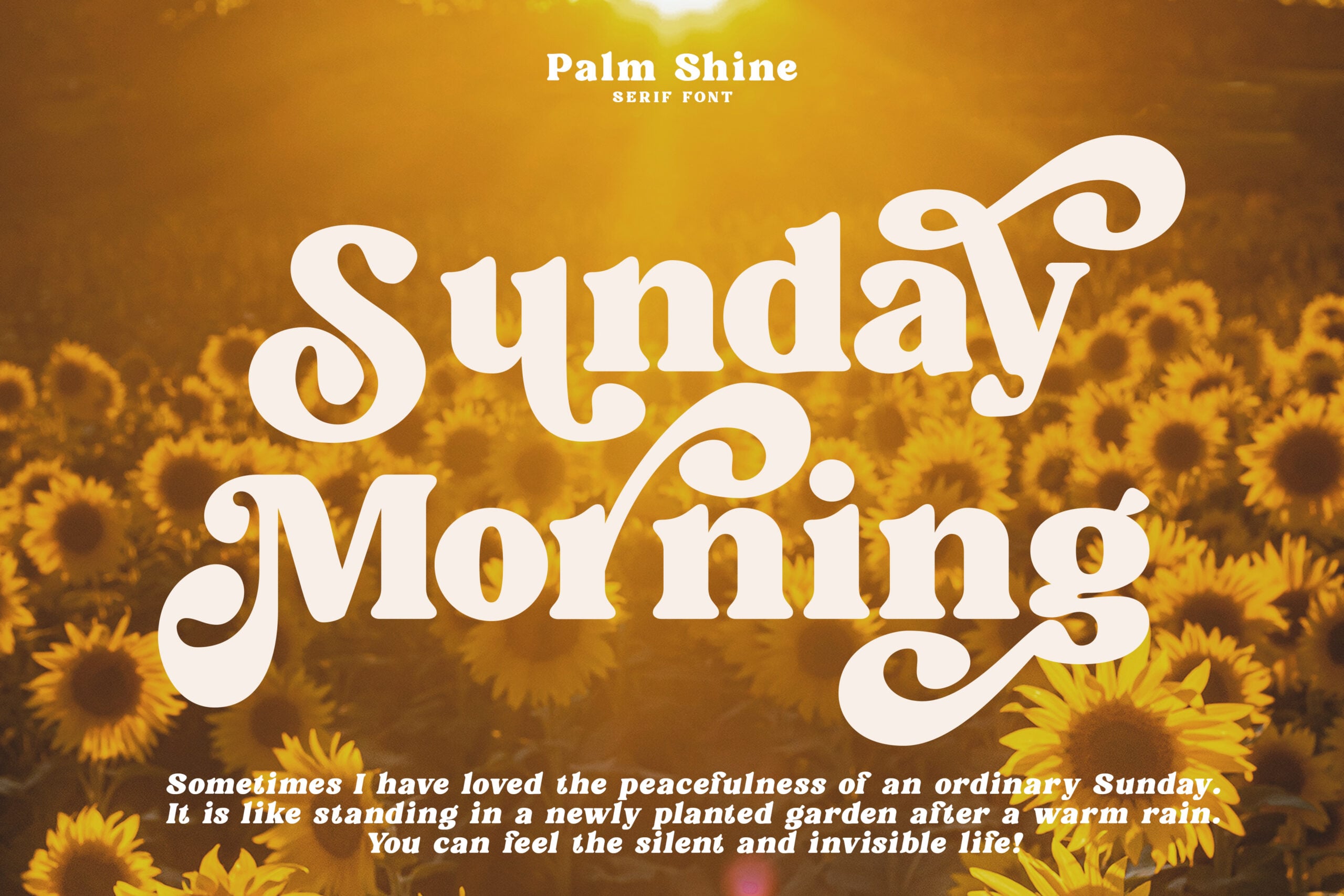 Sunday Morning serif font display over golden sunflower field with warm sunlight