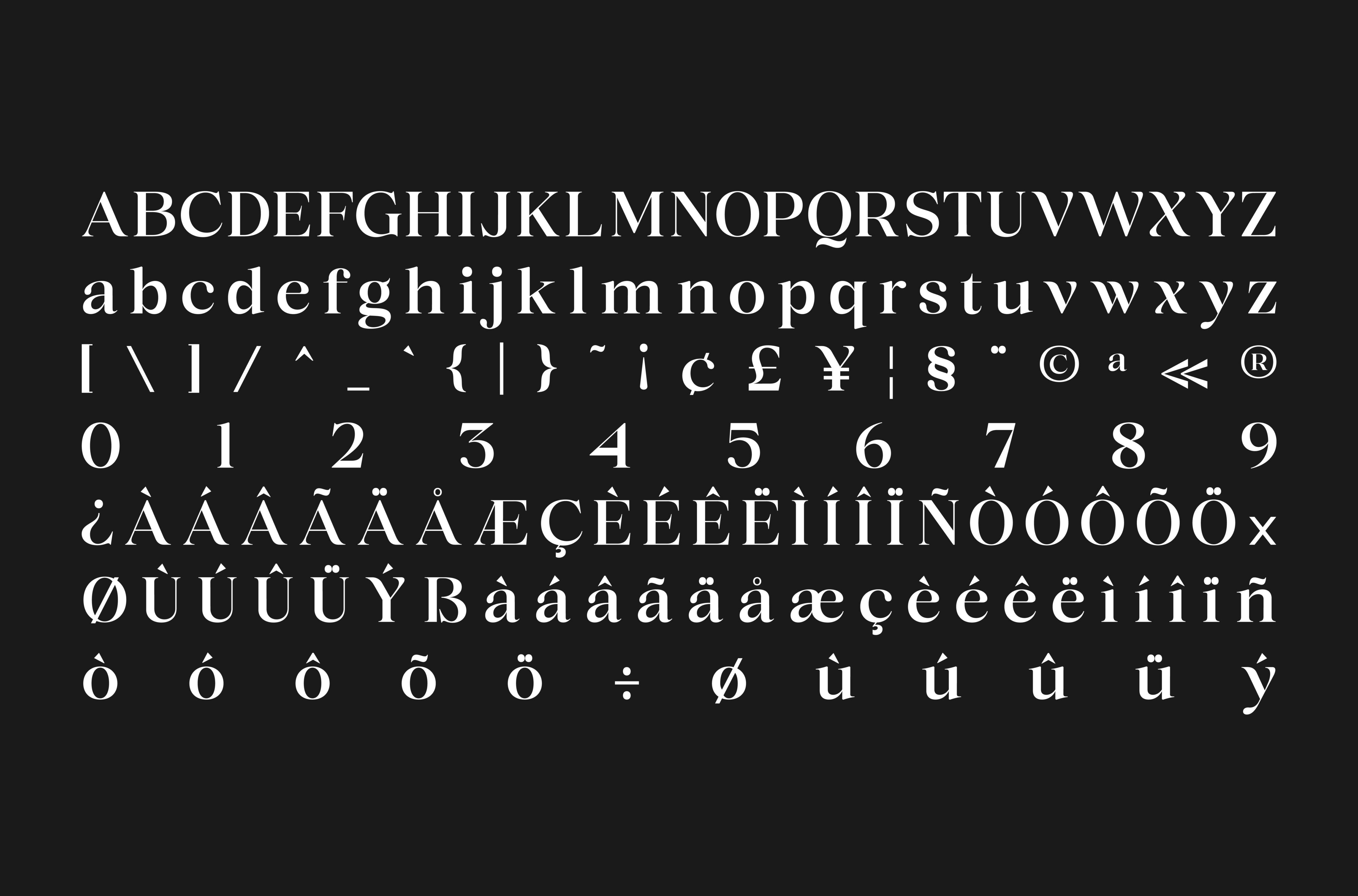 Complete character set for serif font with uppercase, lowercase, numerals, symbols, currencies, accents