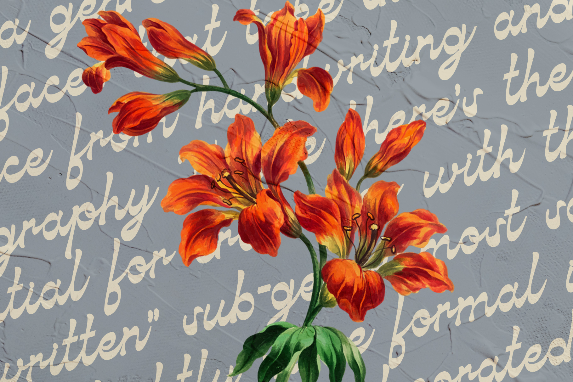 Bright red flowers with cream colored script text overlay on textured background