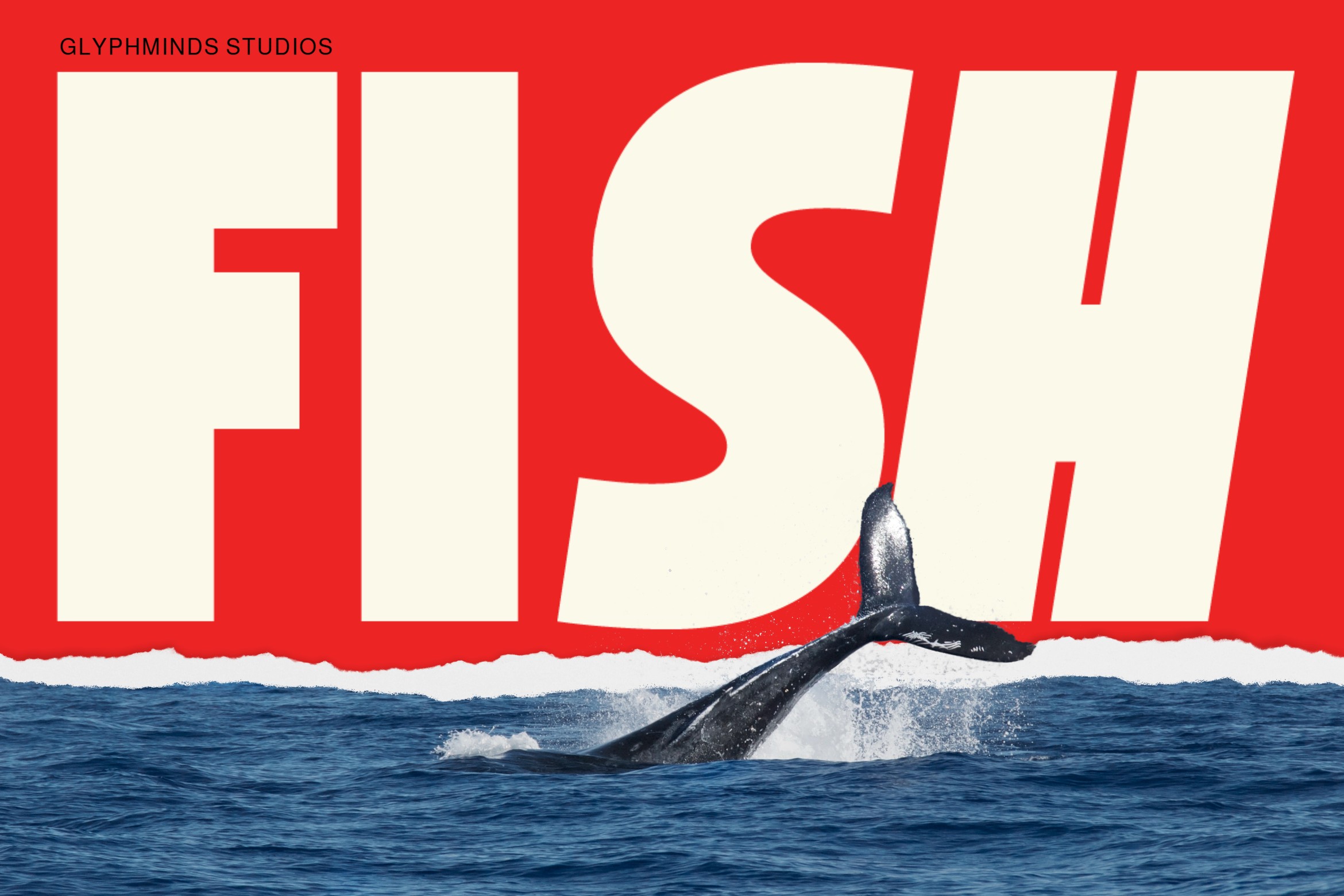 Fish typography mockup with whale tail emerging from ocean waves on red