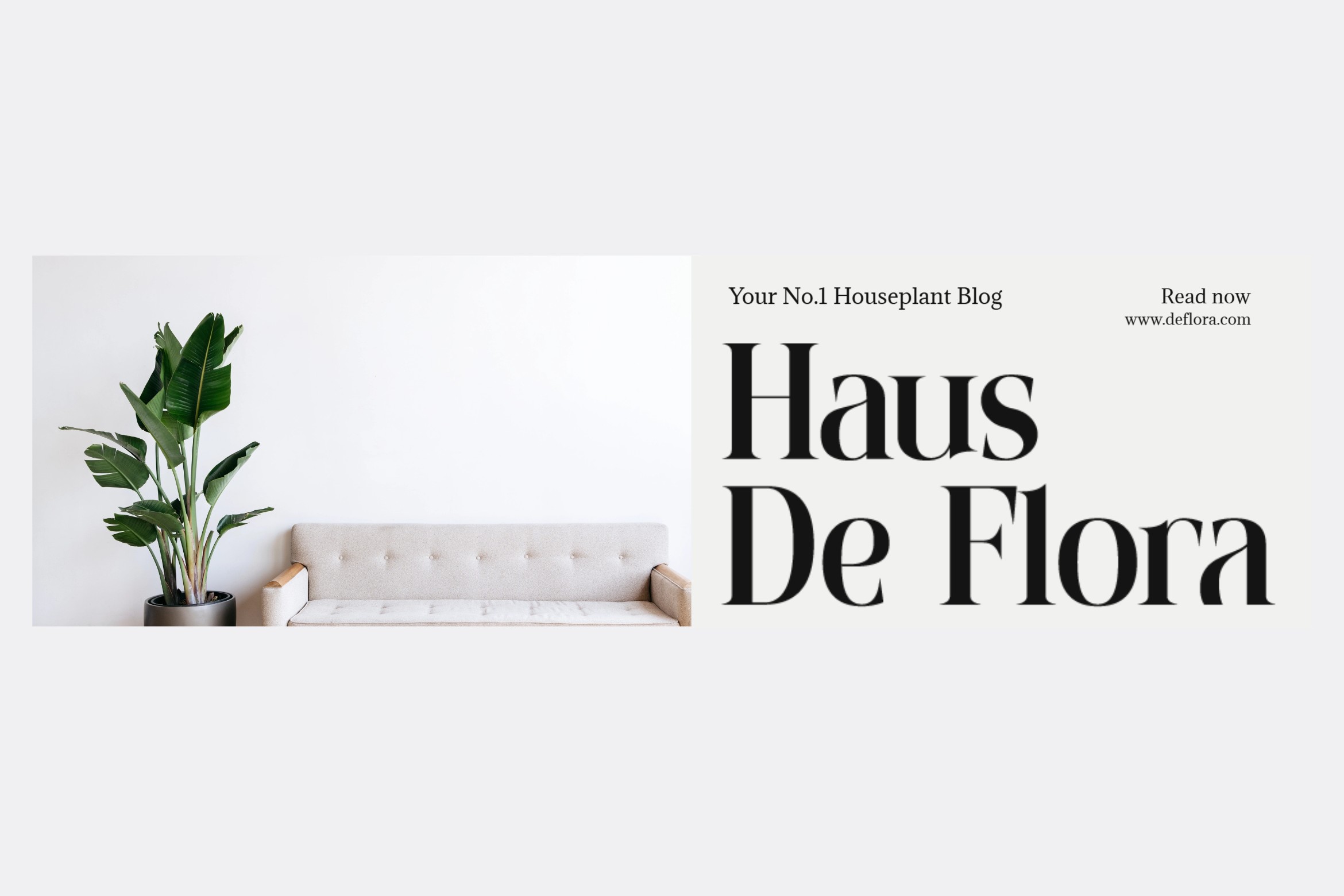 Haus De Flora blog layout mockup with plant pot, cream sofa, bold serif heading