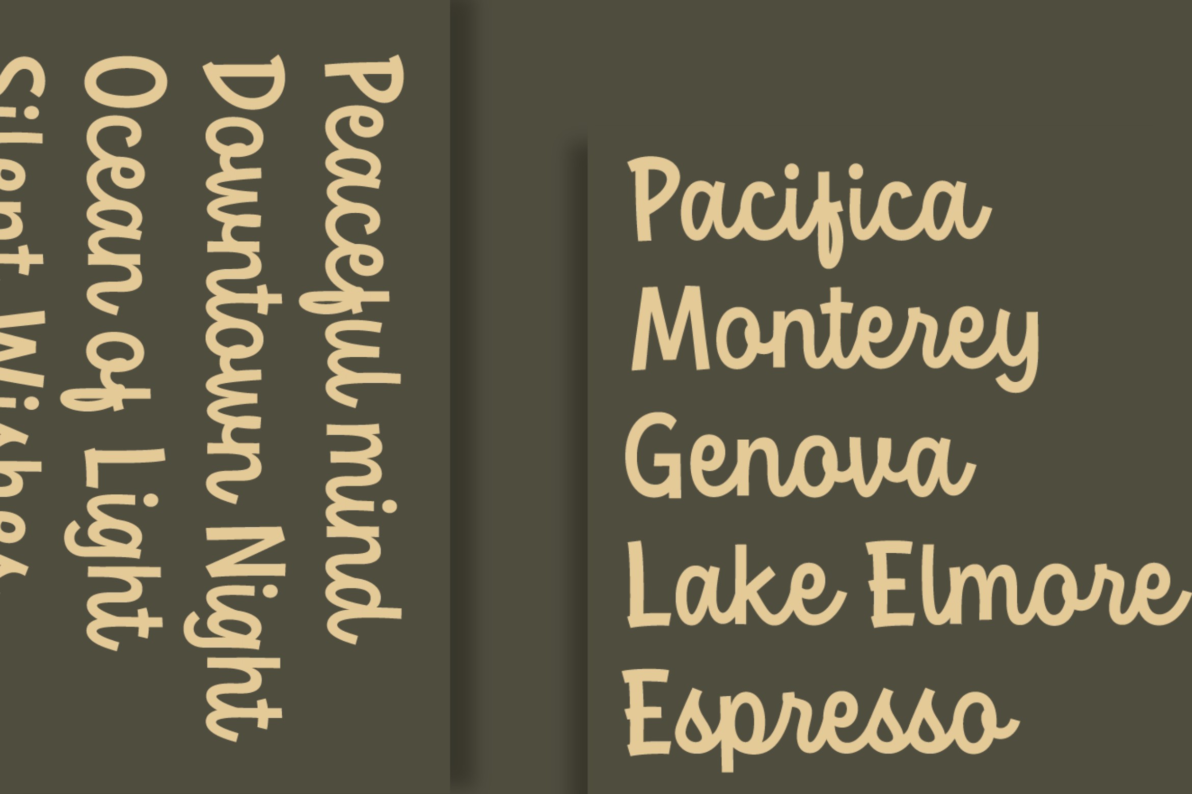 Pacifica Monterey Genova Lake Elmore Espresso font display
