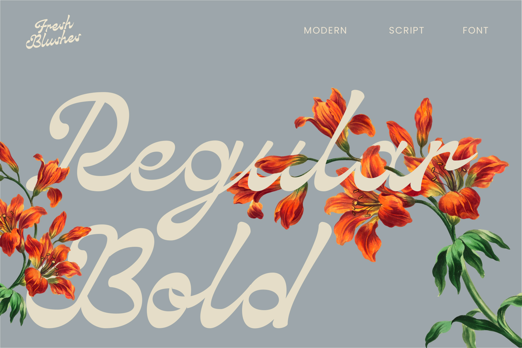 Peoples Bella cream script font with red flowers on dusty blue background