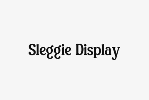 Sleggie Display serif font name centered in black text on light gray minimalist background