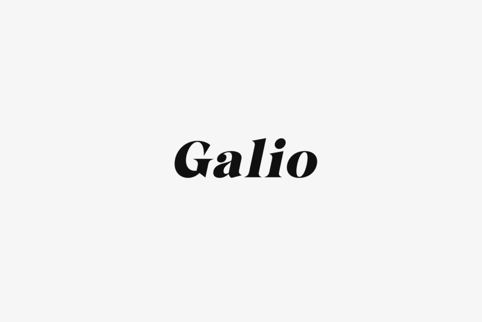 Galio serif typeface specimen showing single word in black italic