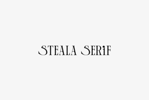 Steala Serif elegant spaced capitals with refined serifs on white