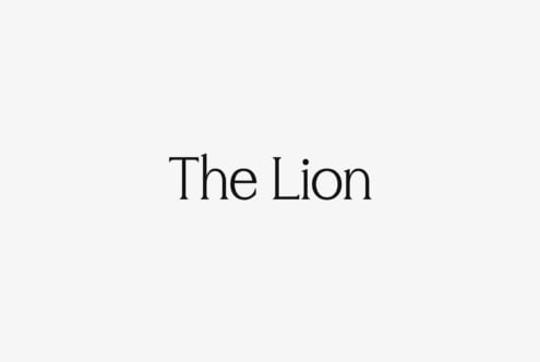 Lion serif typeface in minimal light aesthetic on white background