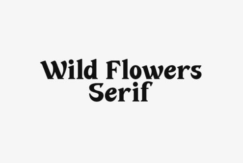 Wild Flowers Serif typeface in bold black letters on cream
