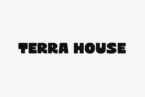 Bold black sans serif font reading TERRA HOUSE on light gray background