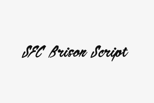 SFC Brisan Script font in bold black italic script on light background