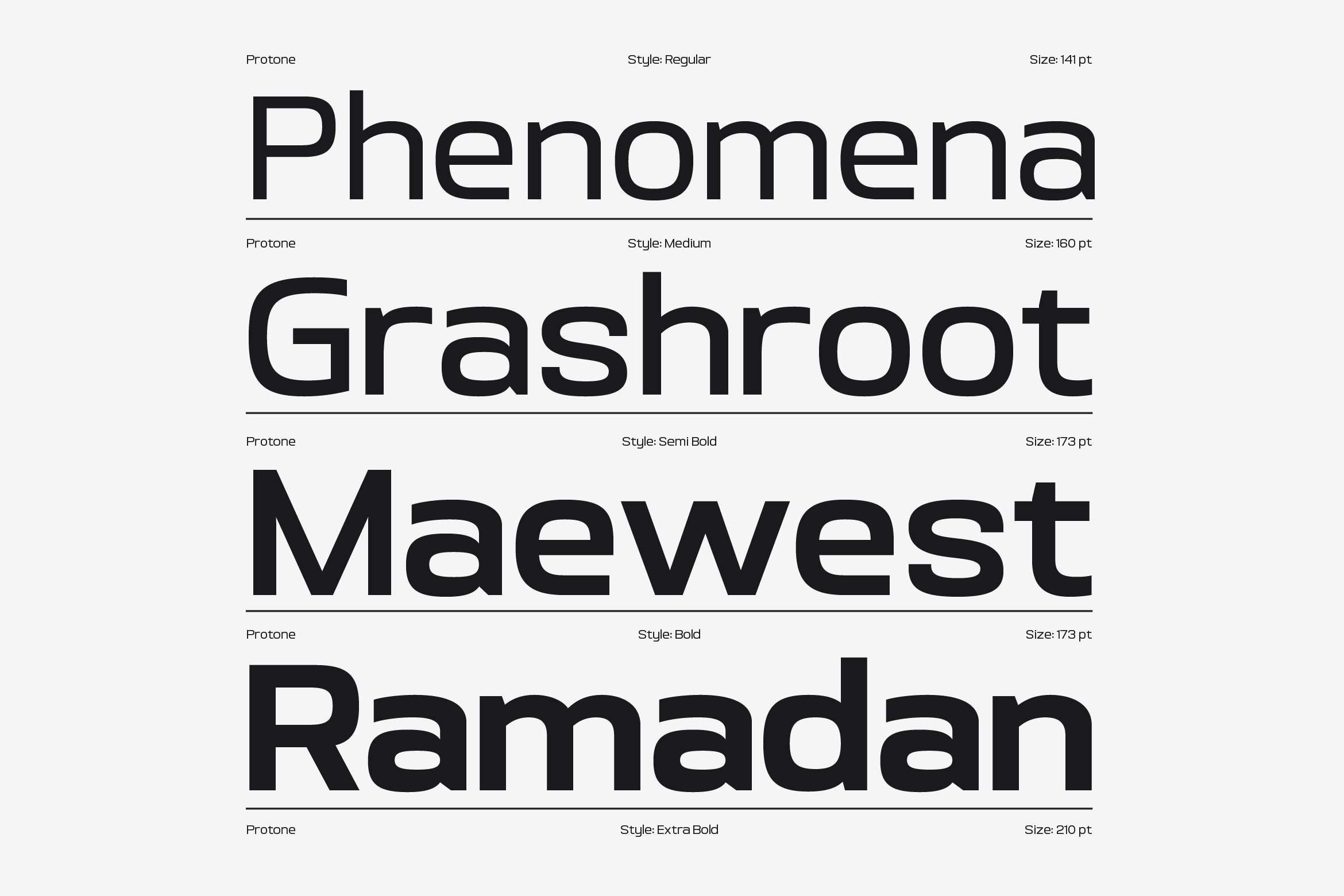 Protone font family showing Regular, Medium, Semi Bold, Bold weights
