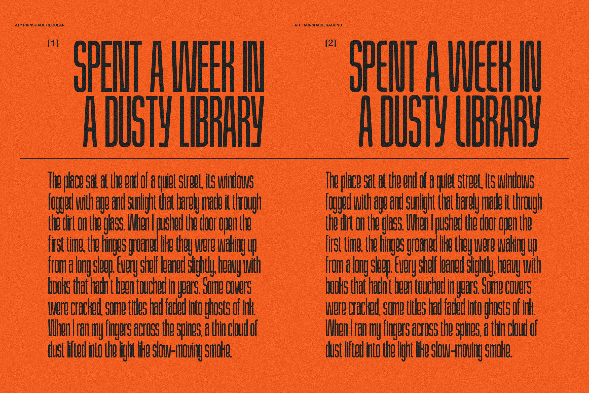 Orange background featuring two typography samples titled Spent a Week in a Dusty Library in ATP Rainsahde font. Ideal for graphic design.