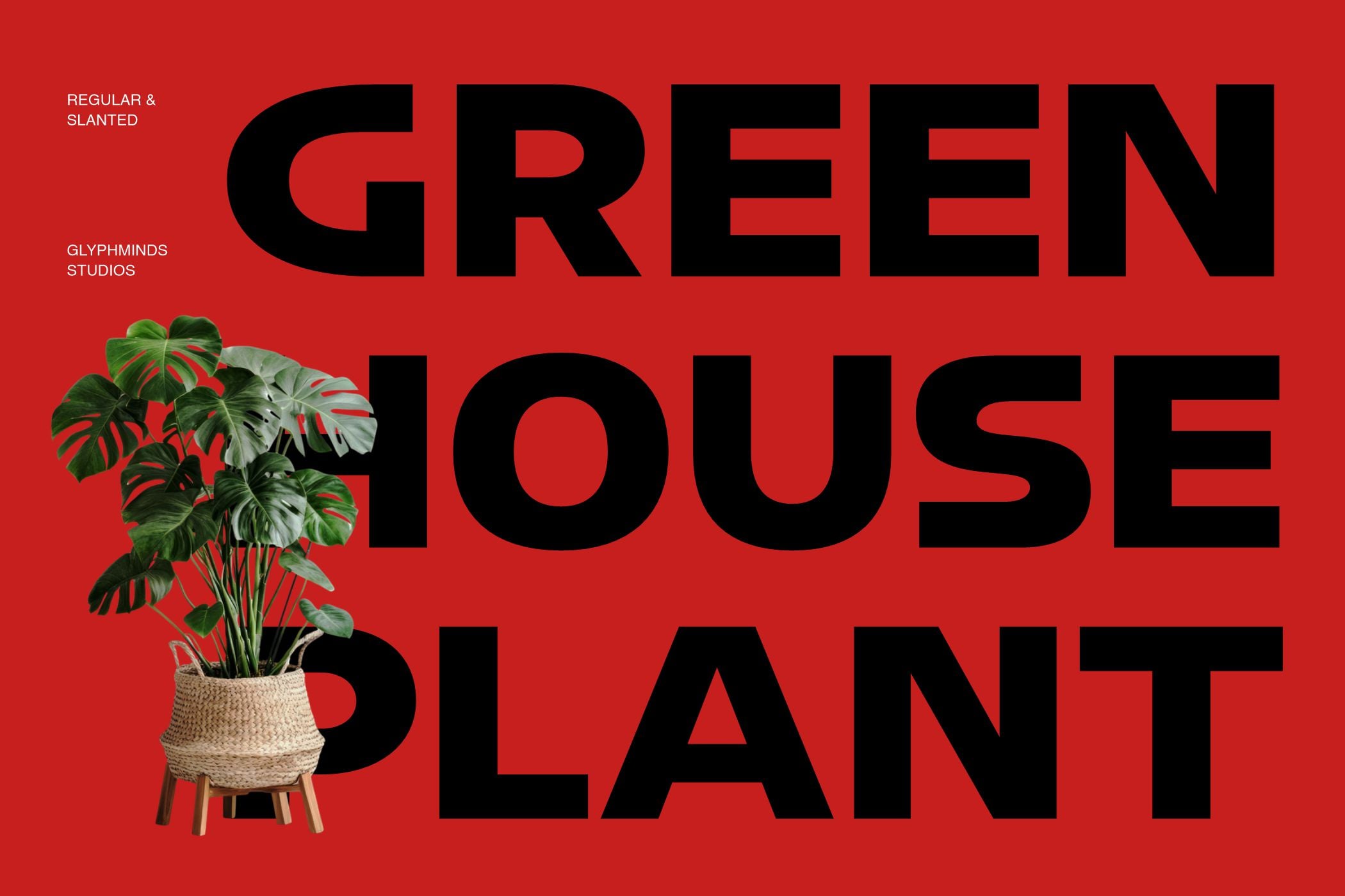 Bold black text reading Green House on red background with potted monstera plant