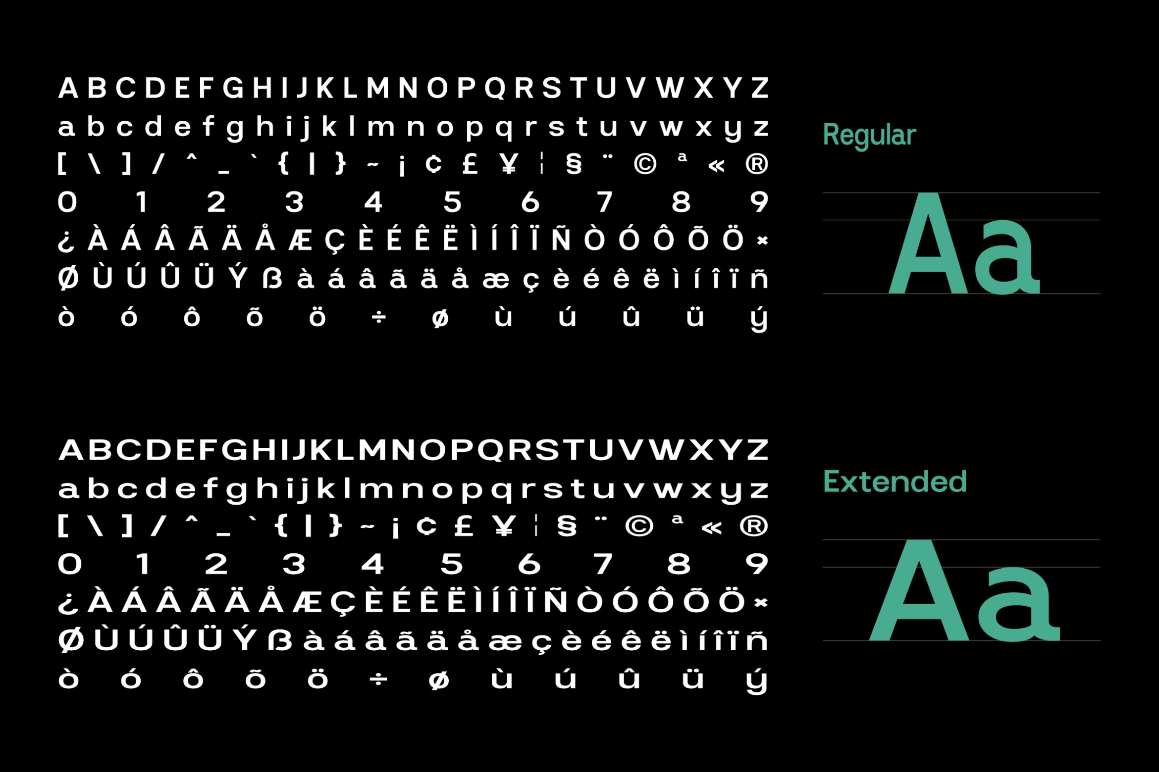Font character set showing Regular Extended weights with multilingual accents in teal